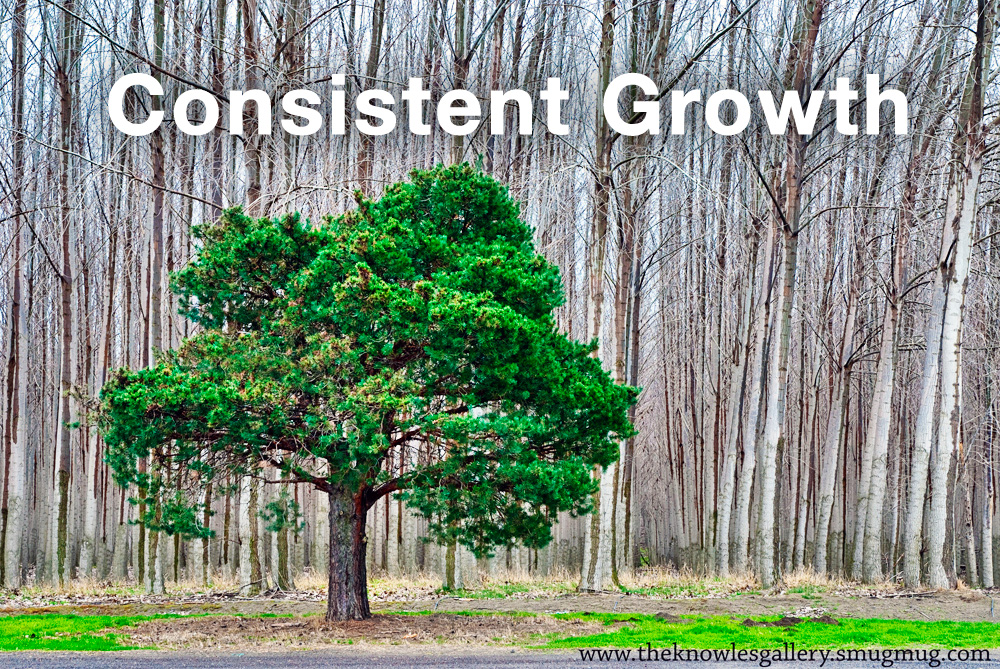 consistent growth from online lead generation