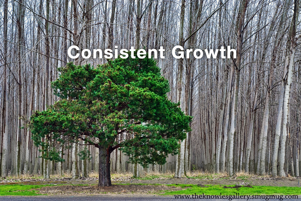 consistent growth from online lead generation