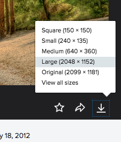 Screenshot of Flickr download button