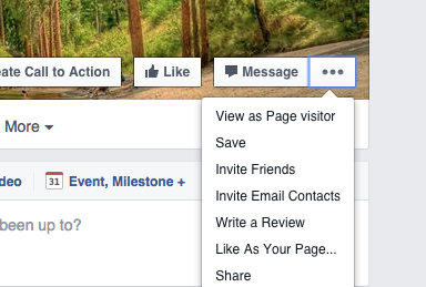 Screen shot of the 3 dot button on Facebook Business Page