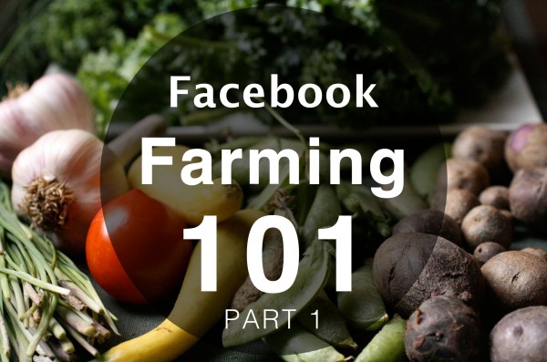 Facebook Farming 101 For Realtors