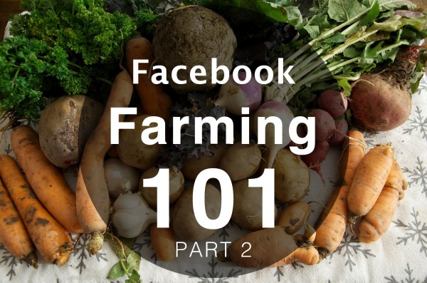 Facebook farming for Realtors 101
